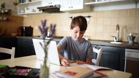 Boy doing homework Stock Footage 133120268