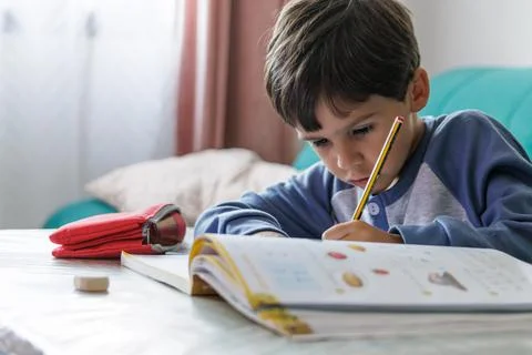 Boy doing homework at home Stock Photos