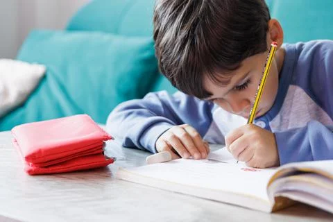 Boy doing homework at home Stock Photos