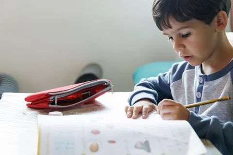 Boy doing homework at home Stock Photos
