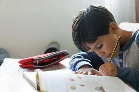 Boy doing homework at home Stock Photos