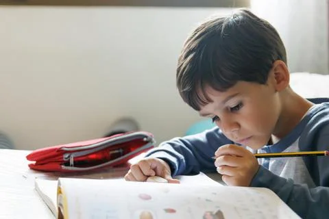 Boy doing homework at home Stock Photos