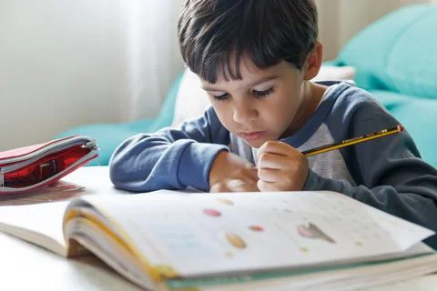 Boy doing homework at home Stock Photos