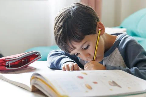 Boy doing homework at home Stock Photos