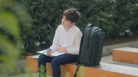 Boy Doing Homework Outside on Wooden Bench After School Hours Stock Footage 310016996