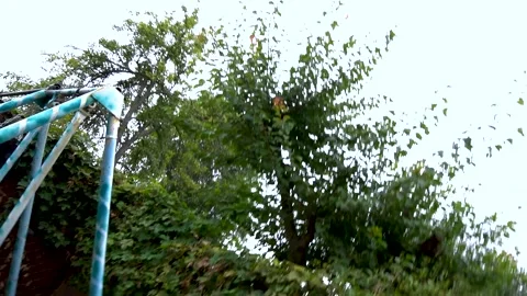 The boy is doing sports on the horizontal bar Vidéo 207769181
