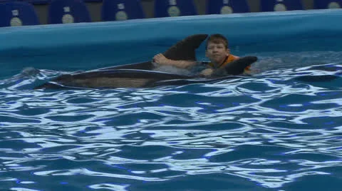 Boy with a Dolphin 스톡 동영상 22983040