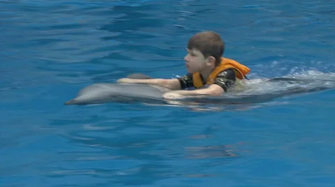 Boy with a Dolphin Stock Footage 23032648