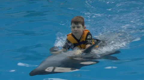 Boy with a Dolphin Stock Footage 23035692