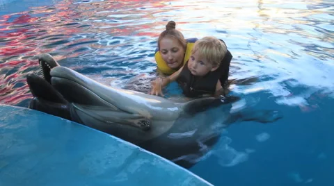 Boy with dolphins Stock Footage 52483057