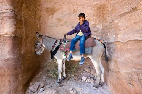 Boy on donkey Stock Photos