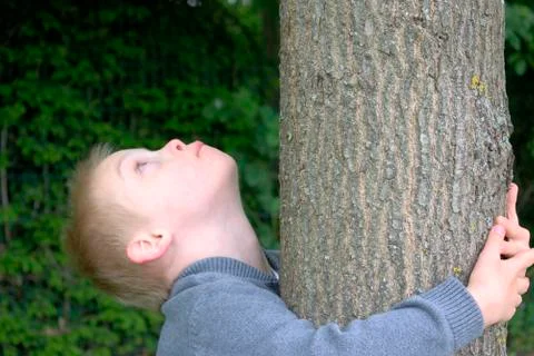 Boy with down syndrome looking up to the sky and hugged to a tree. Stock Photos