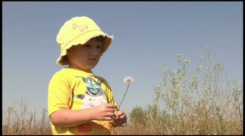 Boy with downy dandelion Stock Footage 150282