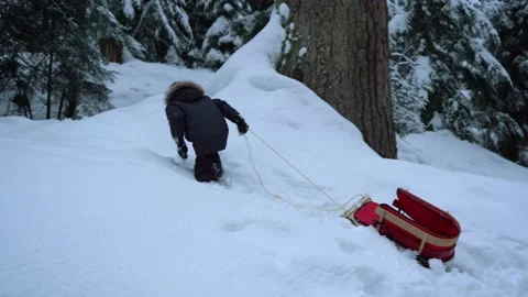 Boy dragging the sled Stock Footage 151566975