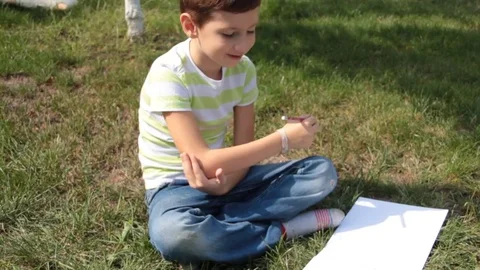 The boy draws in an album on the grass Video stock 80446724