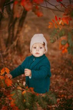 A boy, dressed in a beige hat and green jacket, stands against the background of Stock Photos