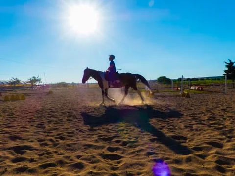 A boy during an equestrian school training Stock Photos