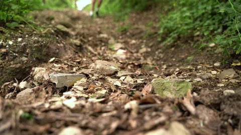 Boy during a run in the woods. Low point of view Stock Footage 132206449
