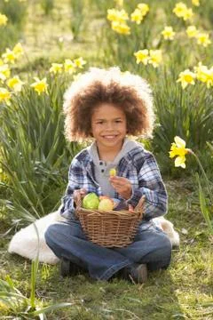 Boy on easter egg hunt in daffodil field Stock Photos