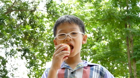 Boy eating an apple Stock Footage 54600383