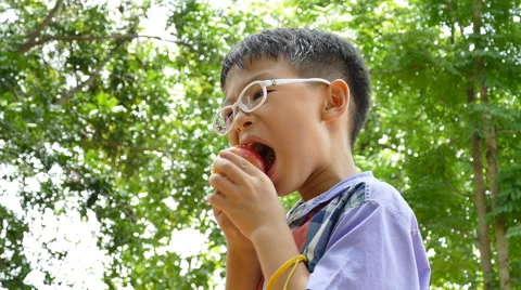 Boy eating an apple Stock Footage 54600667