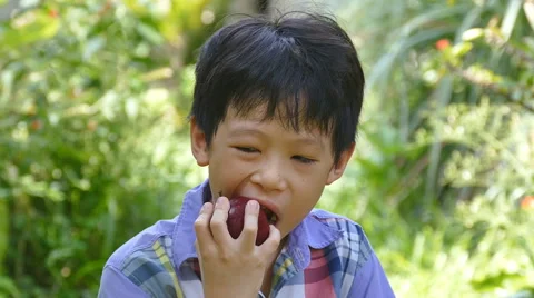 Boy eating an apple in park Stock Footage 56868955