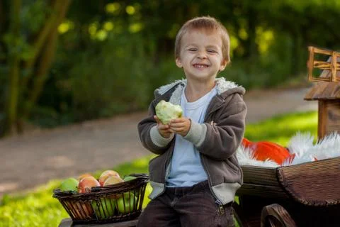 Boy, eating apple in a park Stock Photos