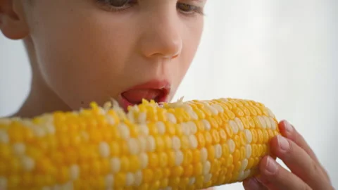The boy is eating boiled corn. Close-up. Stock Footage 278818180