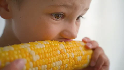 The boy is eating boiled corn close-up. Stock Footage 278818256