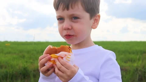 The boy is eating a burger . An article about fast food. Junk food. Stock Footage 203288863