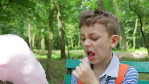 Boy eating cotton candy Stock Footage 77027308