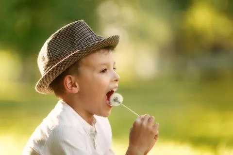 Boy is eating dandelion Stock Photos