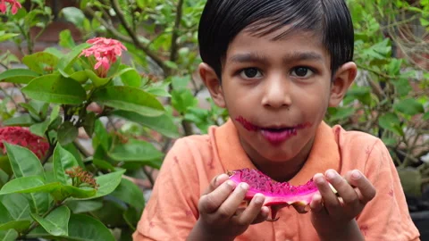 A boy is eating dragon fruit sitting in the garden. Stock Footage 254729125