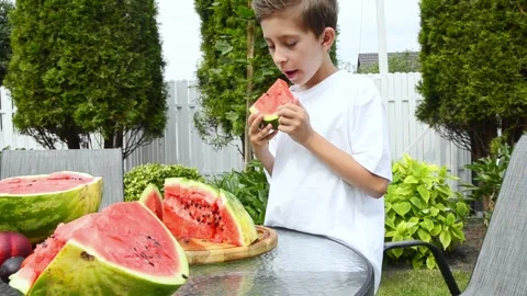 Boy Eating Fresh Watermelon in Summer 스톡 동영상 341811706