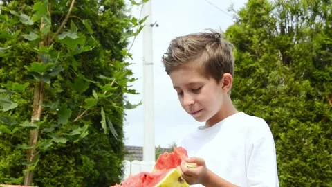 Boy Eating Fresh Watermelon in Summer Stock Footage 341811771