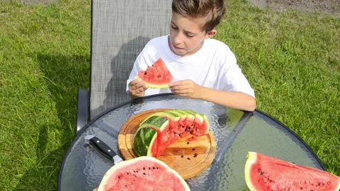 Boy Eating Fresh Watermelon in Summer Stock Footage 341811772