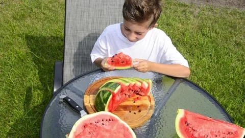 Boy Eating Fresh Watermelon in Summer Stock Footage 341811774