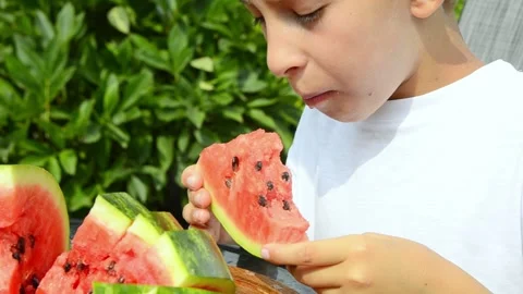 Boy Eating Fresh Watermelon in Summer Stock Footage 341811929