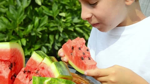 Boy Eating Fresh Watermelon in Summer Stock Footage 341811933