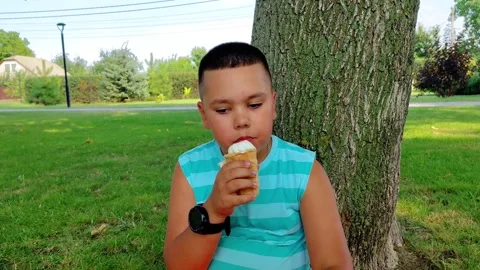 Boy Eating Ice Cream Sitting Under Tree in Park Stock-Footage 342589345