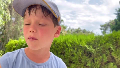 Boy eating ice cream in summer Stock Footage 250073344