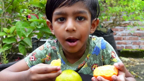 A boy is eating an Orange Stock Footage 254725442