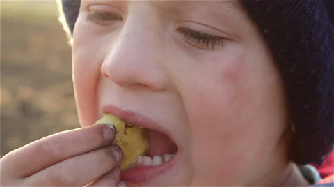 Boy eating potatoes Video stock 45577540