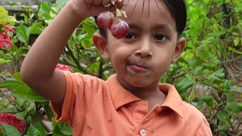 A boy is eating red grapes Stock Footage 254729493
