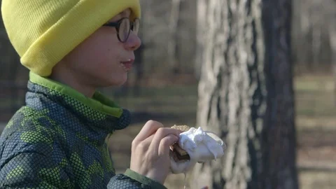 Boy eating a s'more in the woods Stock Footage 71106742