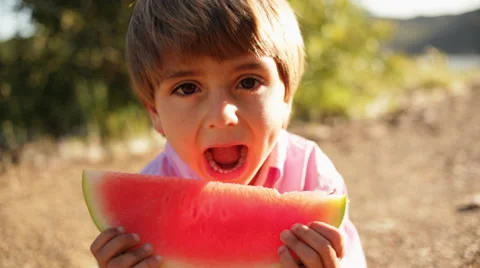 Boy eating watermelon Stock Footage 43614624