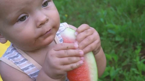 Boy is eating a watermelon Video stock 79984387