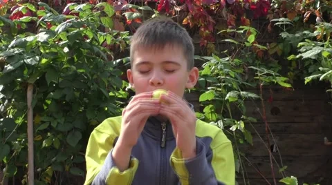 The boy eats an apple with  appetite Video stock 55093015