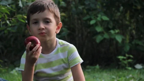 The boy eats an apple on the grass Stock Footage 80462507