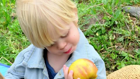 A boy eats an apple. Picnic. Stock Footage 273023791